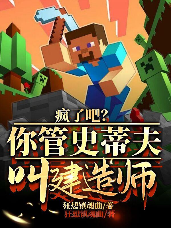 疯了吧？你管史蒂夫叫建造师！？